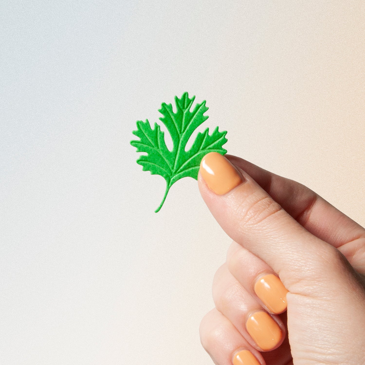 close-up of cilantro paper soap flake