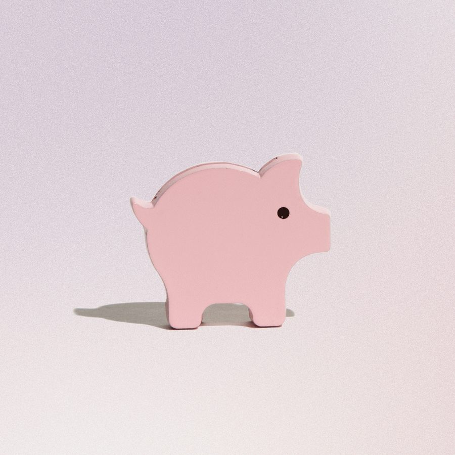 single coin piggy bank
