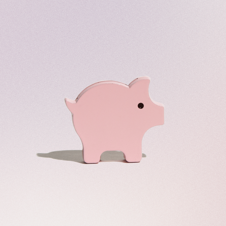 Stretched Thin Piggy Bank Wask